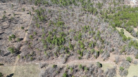 Lakeview Property For Sale - Sardis Lake Yanush, OK. - image 5
