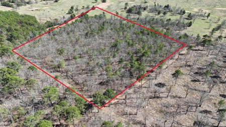 Lakeview Property For Sale - Sardis Lake Yanush, OK. - image 7