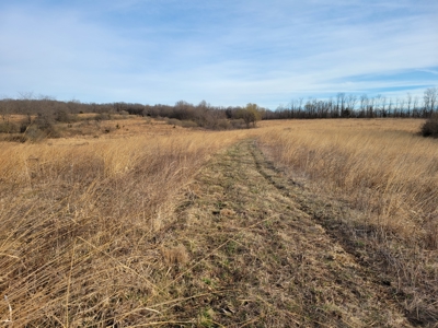 Hunting Land for sale in North Missouri - image 9