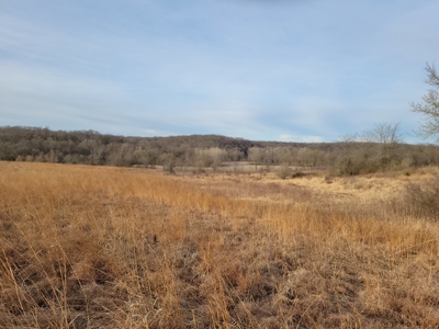 Hunting Land for sale in North Missouri - image 8