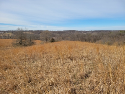 Hunting Land for sale in North Missouri - image 13