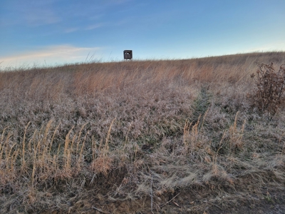 Hunting Land for sale in North Missouri - image 4