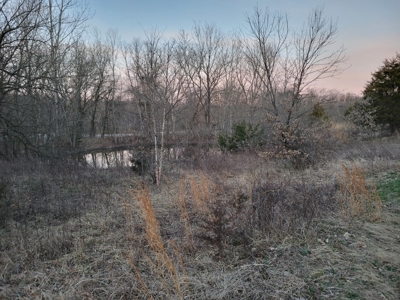 Hunting Land for sale in North Missouri - image 6