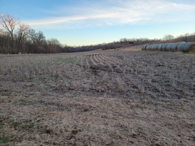 Hunting Land for sale in North Missouri - image 7