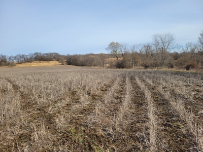Hunting Land for sale in North Missouri - image 10