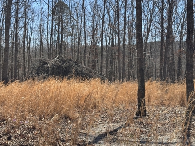 Acreage for Sale Southern Missouri Ozarks - image 9