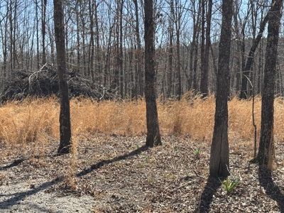 Acreage for Sale Southern Missouri Ozarks - image 3