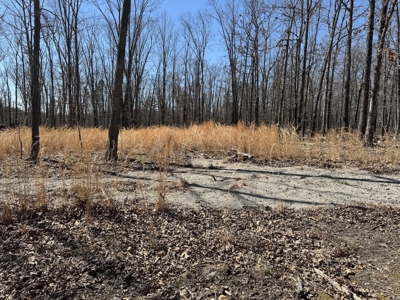 Acreage for Sale Southern Missouri Ozarks - image 2