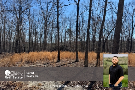 Acreage for Sale Southern Missouri Ozarks - image 1