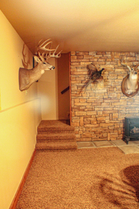 Country Home for Sale, Clinton, Missouri - image 37