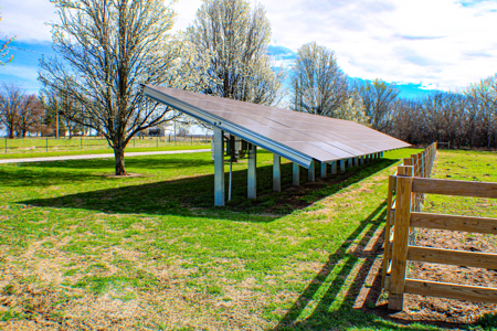 Country Home for Sale, Clinton, Missouri - image 48