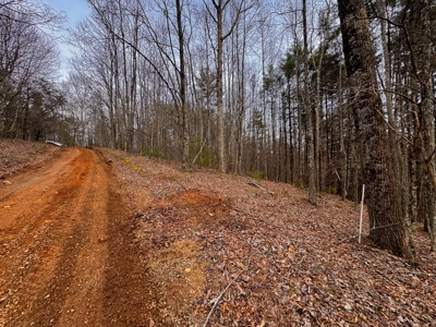 Land for Sale on Big Reed Island Creek! - image 41