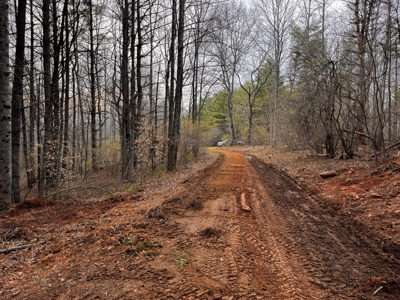 Land for Sale on Big Reed Island Creek! - image 42