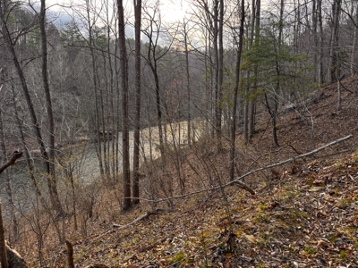 Land for Sale on Big Reed Island Creek! - image 36