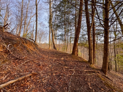 Land for Sale on Big Reed Island Creek! - image 25