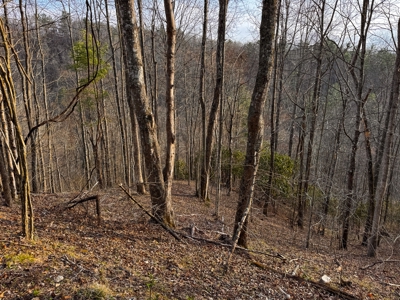 Land for Sale on Big Reed Island Creek! - image 26
