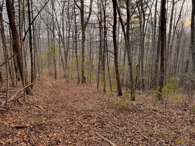 Land for Sale on Big Reed Island Creek! - image 39
