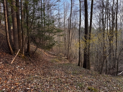 Land for Sale on Big Reed Island Creek! - image 30