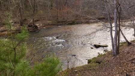 Land for Sale on Big Reed Island Creek! - image 3
