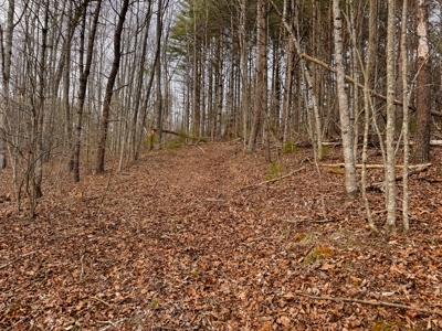 Land for Sale on Big Reed Island Creek! - image 37