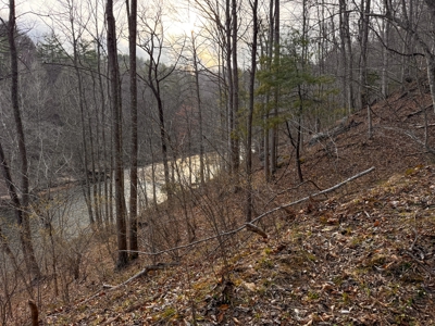 Land for Sale on Big Reed Island Creek! - image 35