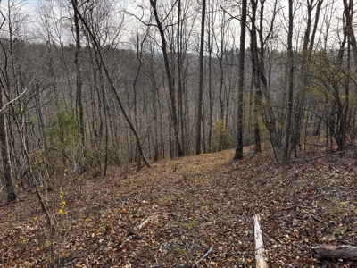 Land for Sale on Big Reed Island Creek! - image 24