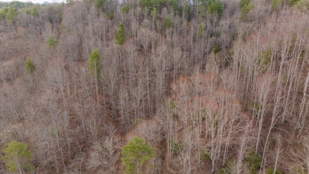 Land for Sale on Big Reed Island Creek! - image 18