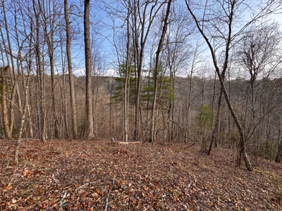 Land for Sale on Big Reed Island Creek! - image 23