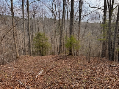 Land for Sale on Big Reed Island Creek! - image 38