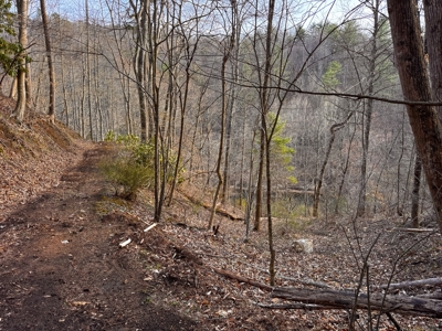 Land for Sale on Big Reed Island Creek! - image 28