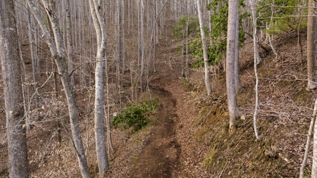 Land for Sale on Big Reed Island Creek! - image 6