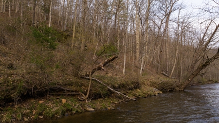 Land for Sale on Big Reed Island Creek! - image 19