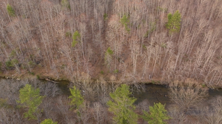 Land for Sale on Big Reed Island Creek! - image 15