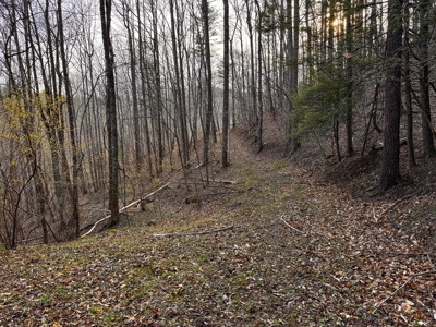 Land for Sale on Big Reed Island Creek! - image 29