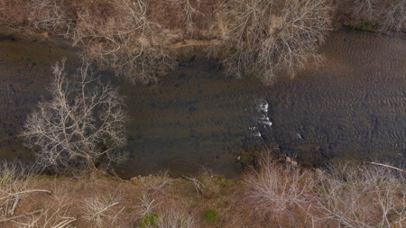 Land for Sale on Big Reed Island Creek! - image 14