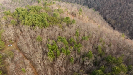 Land for Sale on Big Reed Island Creek! - image 7