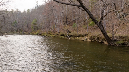 Land for Sale on Big Reed Island Creek! - image 10