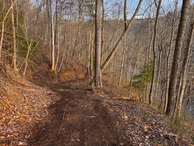 Land for Sale on Big Reed Island Creek! - image 31