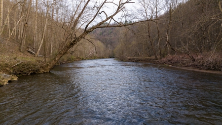 Land for Sale on Big Reed Island Creek! - image 2
