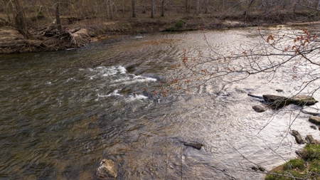 Land for Sale on Big Reed Island Creek! - image 17