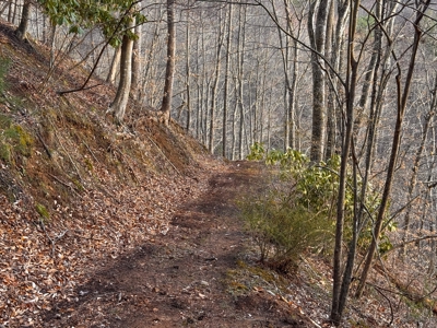 Land for Sale on Big Reed Island Creek! - image 33