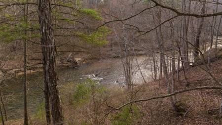 Land for Sale on Big Reed Island Creek! - image 8