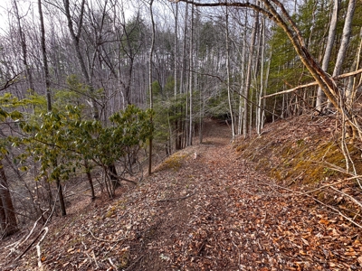 Land for Sale on Big Reed Island Creek! - image 27