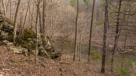 Land for Sale on Big Reed Island Creek! - image 9