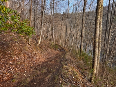 Land for Sale on Big Reed Island Creek! - image 34