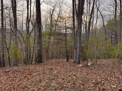 Land for Sale on Big Reed Island Creek! - image 4