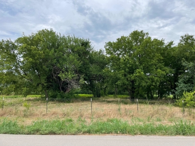 2.5 Ac Country Building Lot -- City Conveniences - image 3