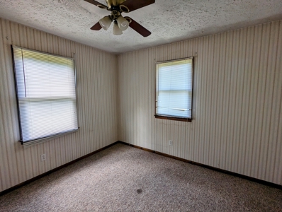 Recreational Land with 2 Homes for Sale in Independence VA! - image 10