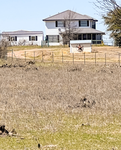 Charming Ranch with Two-Story Home on 48 Acres Near De Leon, Texas - image 33