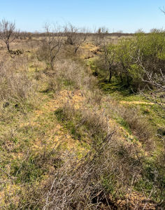 Charming Ranch with Two-Story Home on 48 Acres Near De Leon, Texas - image 38
